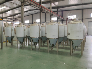 500L fermenter tank.jpg