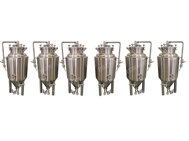 100l Stainless Steel Homebrew Conical Fermenter Unitank 