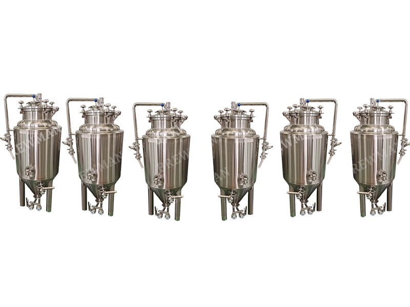 100 gallon Stainless Fermenter Fermentation Tanks