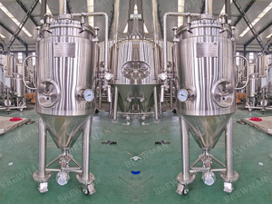 100L Microbrewery Yeast Propogration Tank For Sale