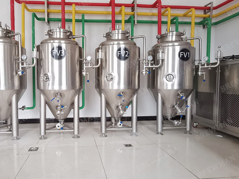 1BBL Pilot Beer Brewing System For Sale